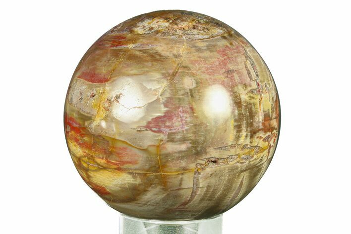 Colorful Petrified Wood (Araucaria) Sphere - Madagascar #286147